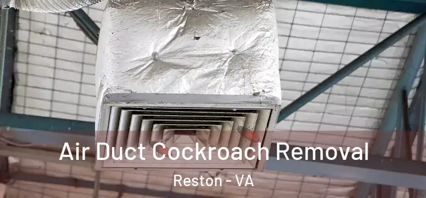 Air Duct Cockroach Removal Reston - VA