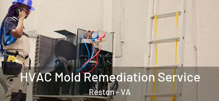 HVAC Mold Remediation Service Reston - VA