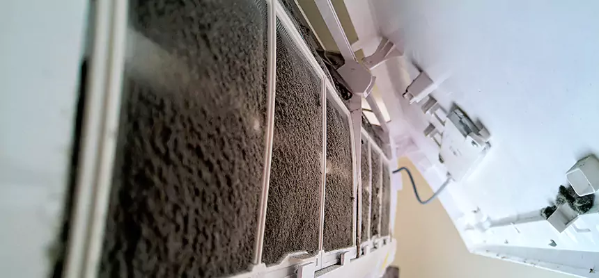 Preventive Air Duct Bacteria Removal in Reston