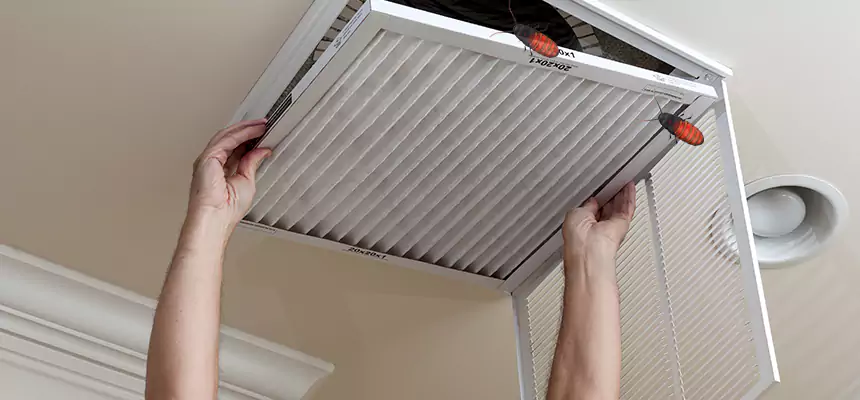 Preventive Cockroach-Proofing for Ducts in Reston