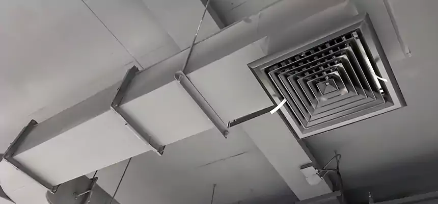 Restorative Allergy Relief Vent Cleaning – Coil, Blower & Housing Detail in Reston