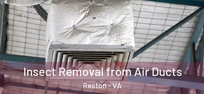  Insect Removal from Air Ducts Reston - VA
