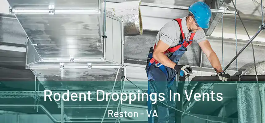  Rodent Droppings In Vents Reston - VA