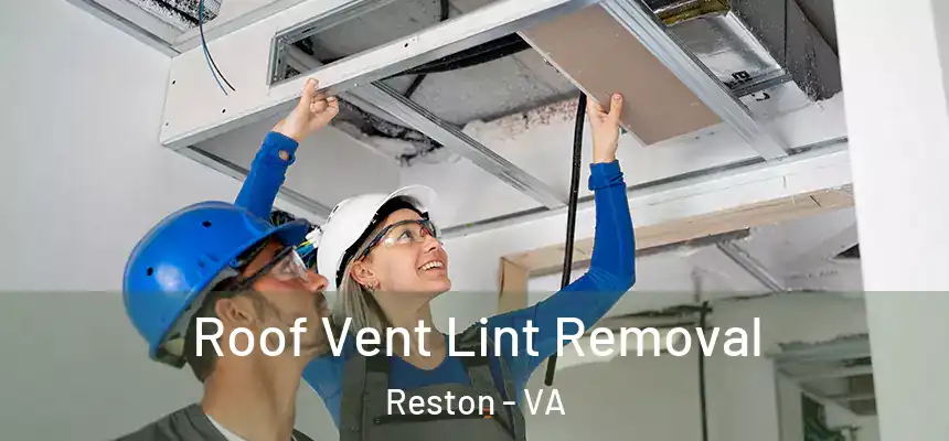  Roof Vent Lint Removal Reston - VA