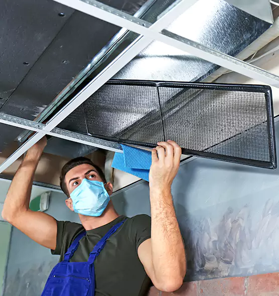 About Air Duct Bacteria Removal in Reston