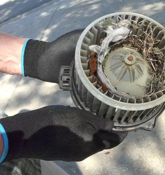 About Air Duct Mice Removal in Reston, VA