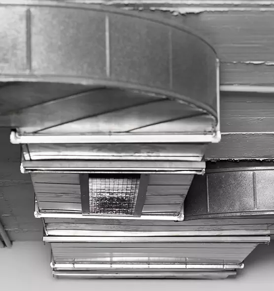 Professional Air Duct Pest Removal in Reston, VA