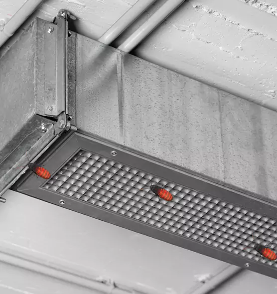 Affordable Insect Removal from Air Ducts in Reston, VA