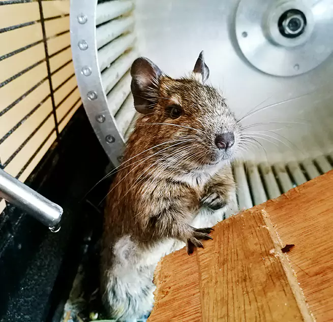 Why Homeowners & Businesses Trust Us Reston, VA