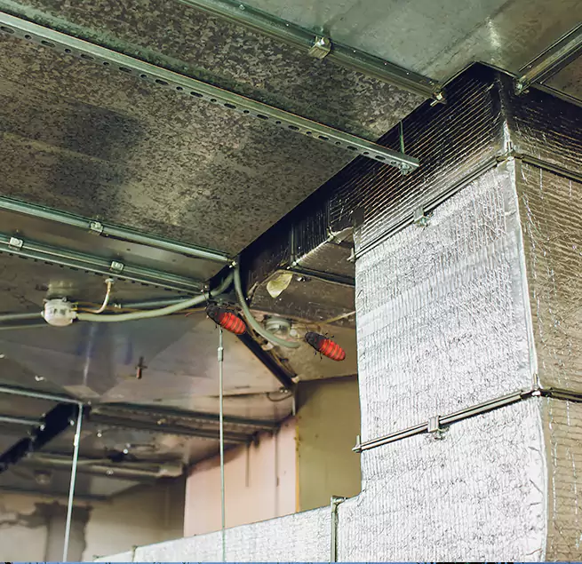 Why Homeowners & Businesses Trust Us Reston, VA?